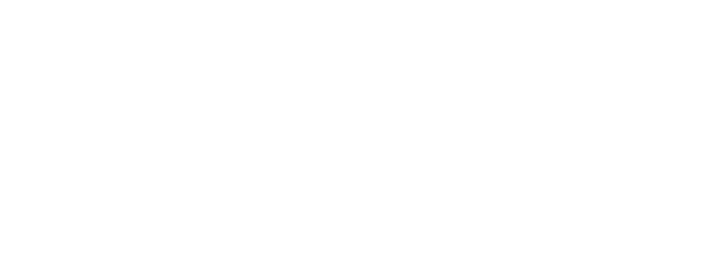 Skyned Consults